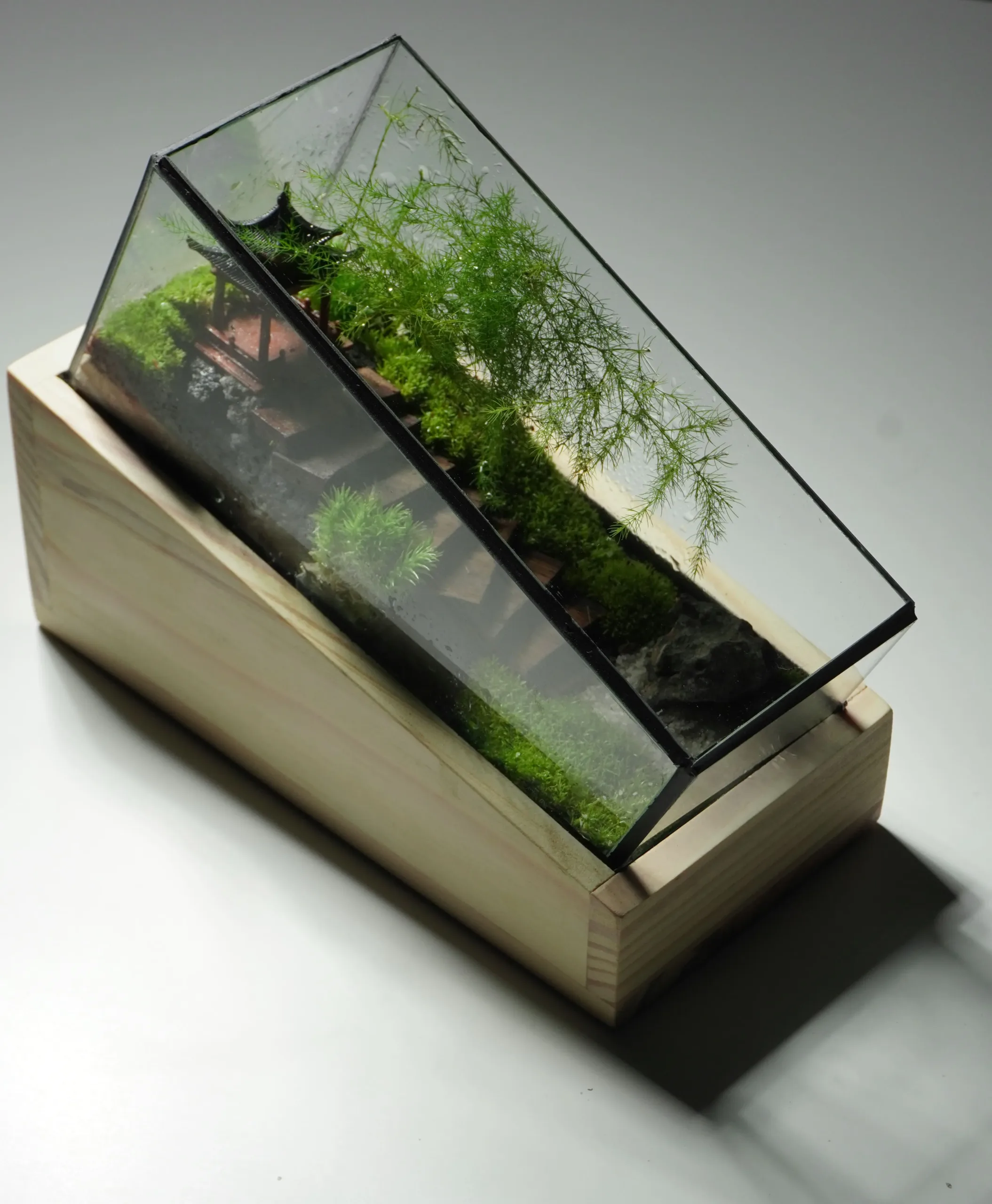 Terrarium trúc yên tự - Nghệ thuận tĩnh lặng
