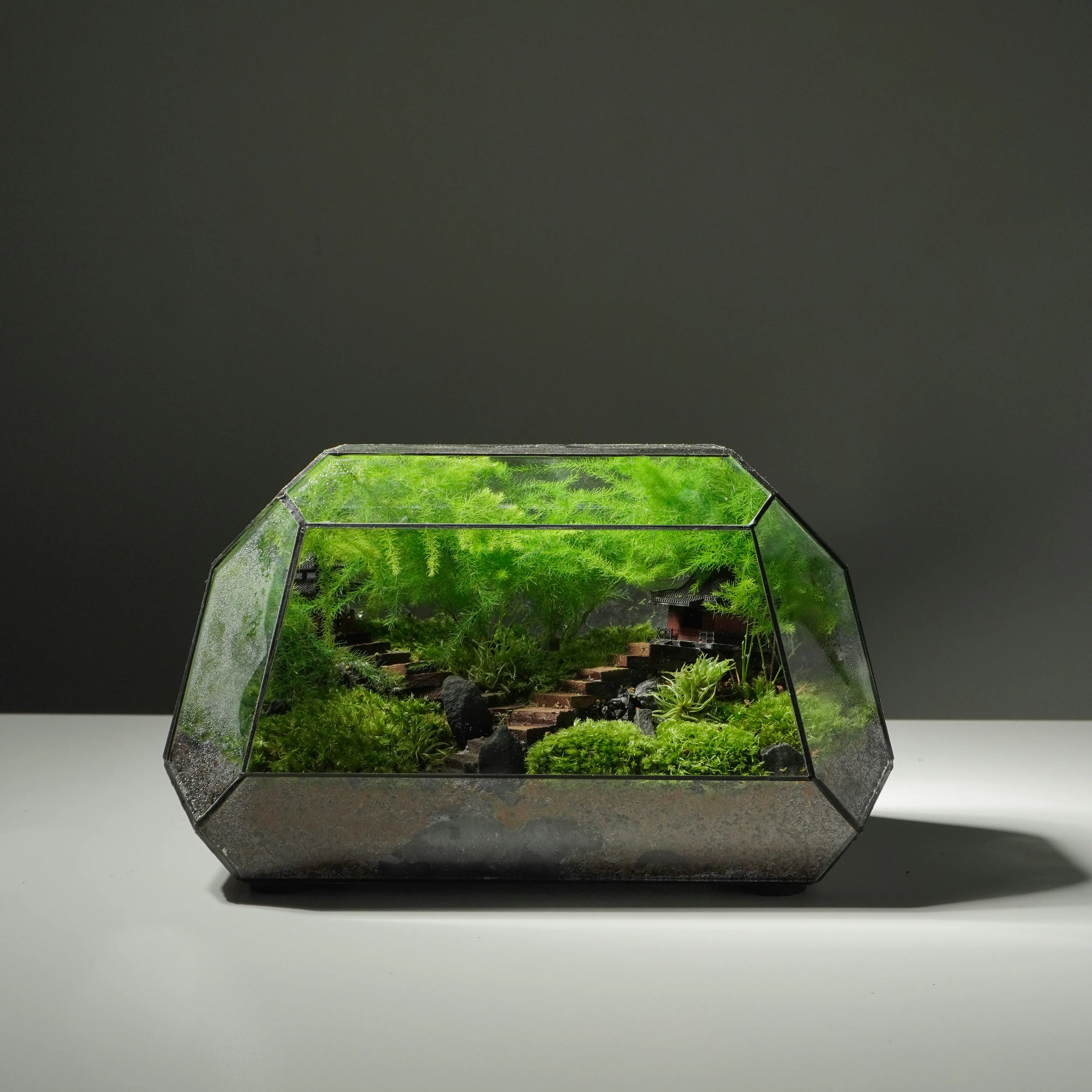 Terrarium Song Tự – Tác phẩm Hành Trình Tĩnh Lặng Terrarium Song Tự – Tác phẩm Hành Trình Tĩnh Lặng
