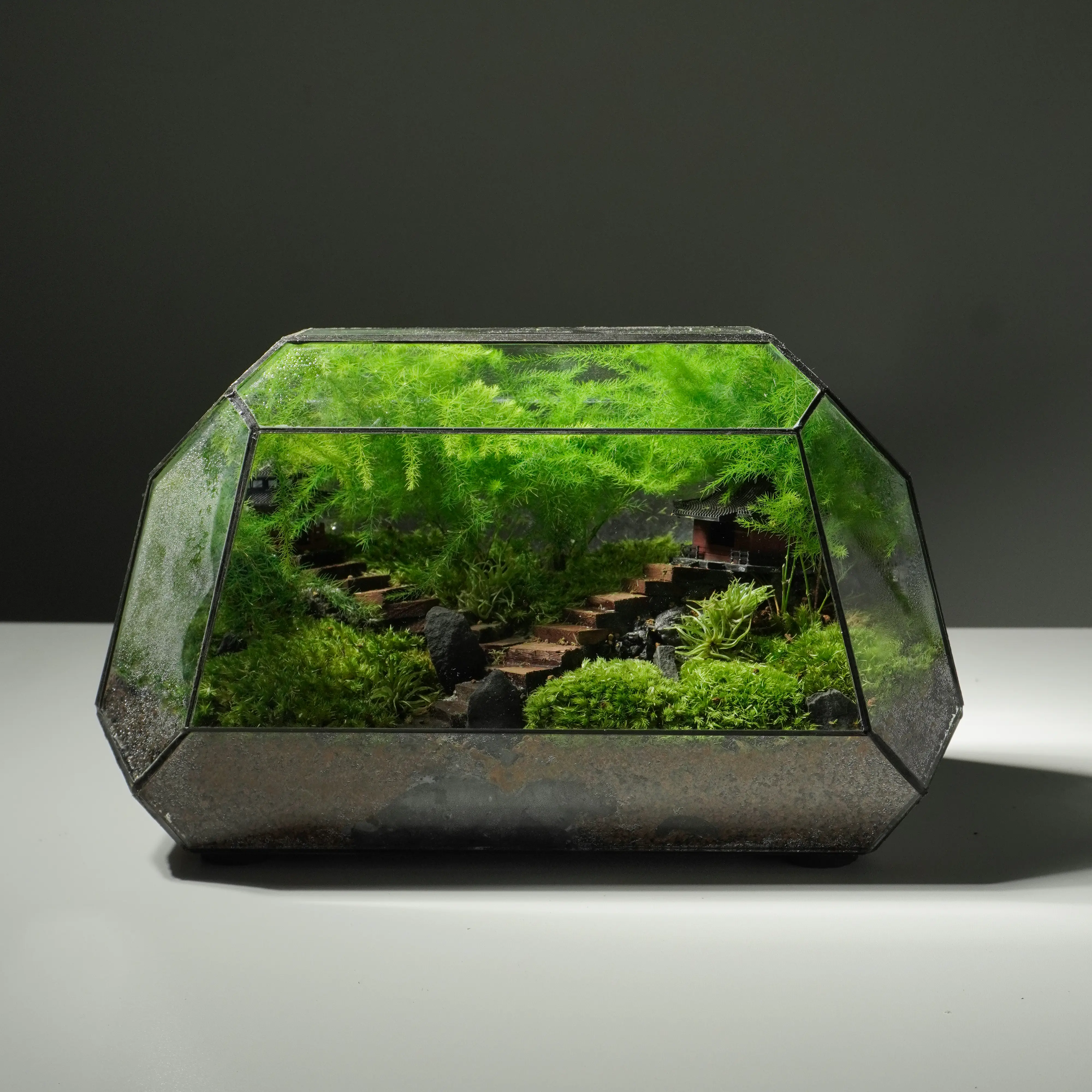 Terrarium Song Tự - tác phẩm terrarium mang đến không gian tĩnh lặng và cân bằng