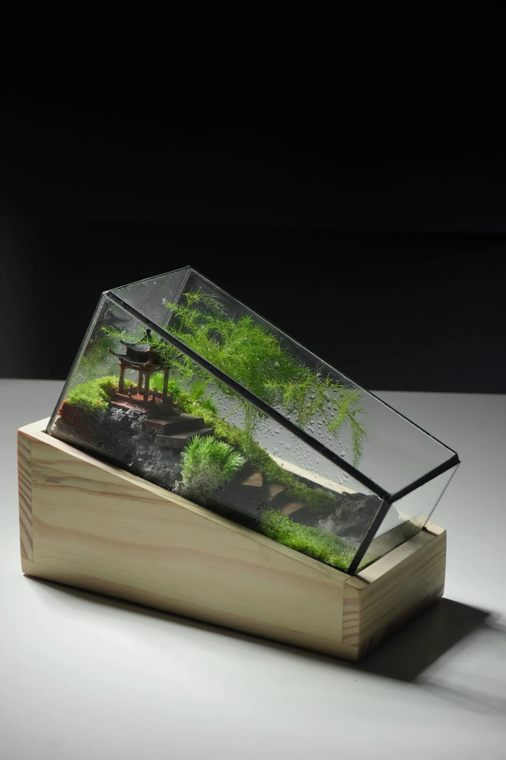 Terrarium Trúc Yên Tự – Khi tĩnh lặng trở thành nghệ thuật Terrarium Trúc Yên Tự – Khi tĩnh lặng trở thành nghệ thuật