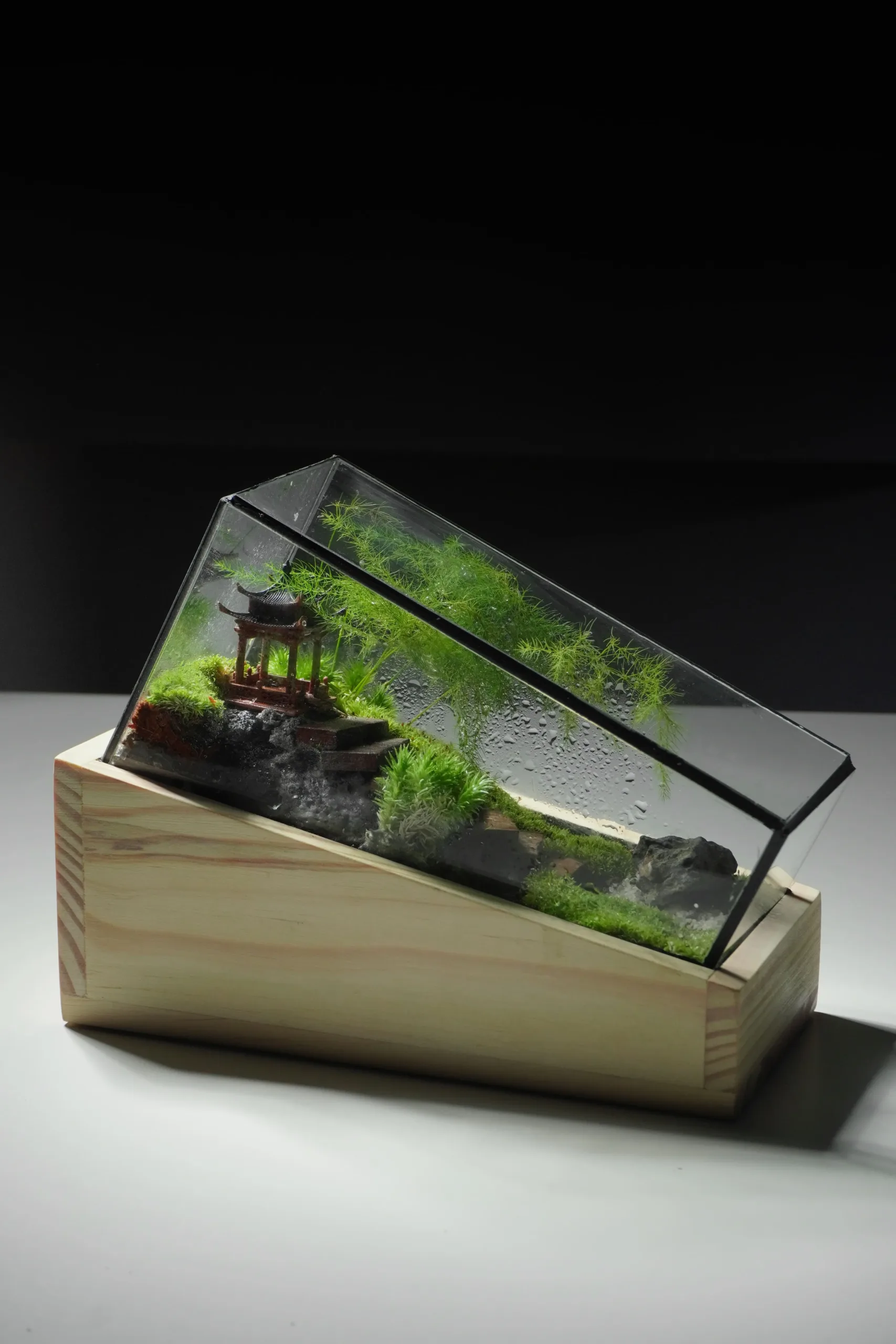 Terrarium Trúc Yên Tự – Khi tĩnh lặng trở thành nghệ thuật Terrarium Trúc Yên Tự – Khi tĩnh lặng trở thành nghệ thuật