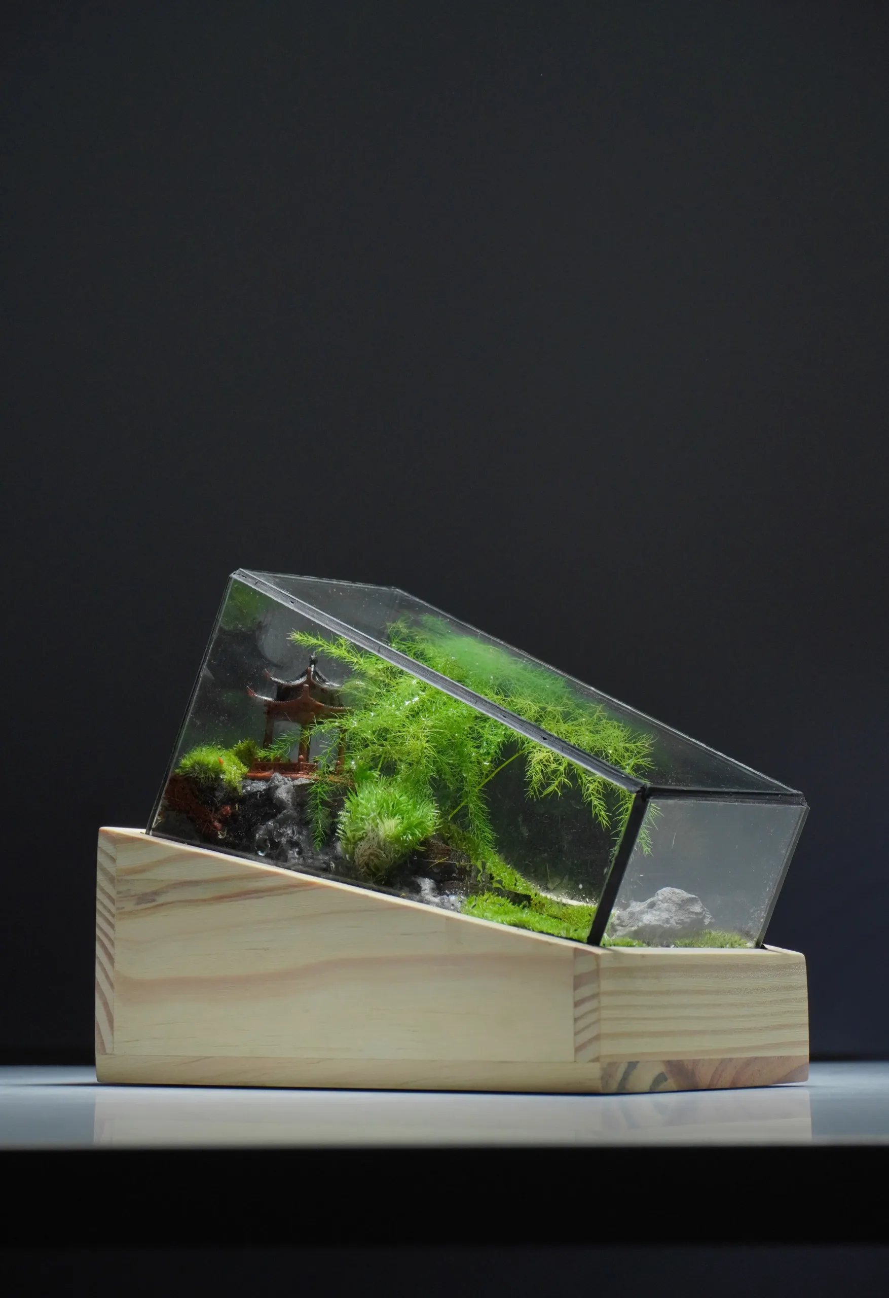 Terrarium Trúc Yên Tự – Khi tĩnh lặng trở thành nghệ thuật Terrarium Trúc Yên Tự – Khi tĩnh lặng trở thành nghệ thuật