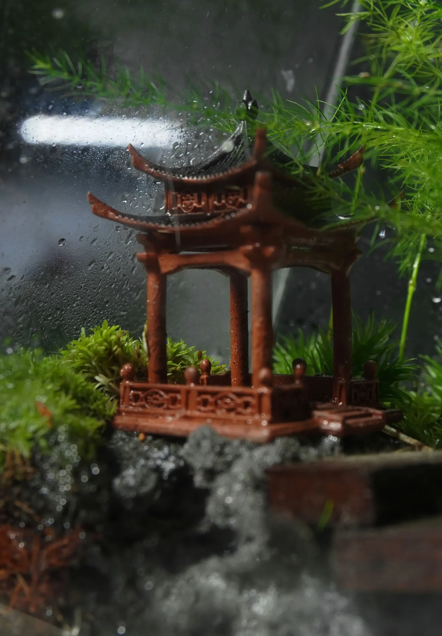 Terrarium Trúc Yên Tự – Khi tĩnh lặng trở thành nghệ thuật Terrarium Trúc Yên Tự – Khi tĩnh lặng trở thành nghệ thuật