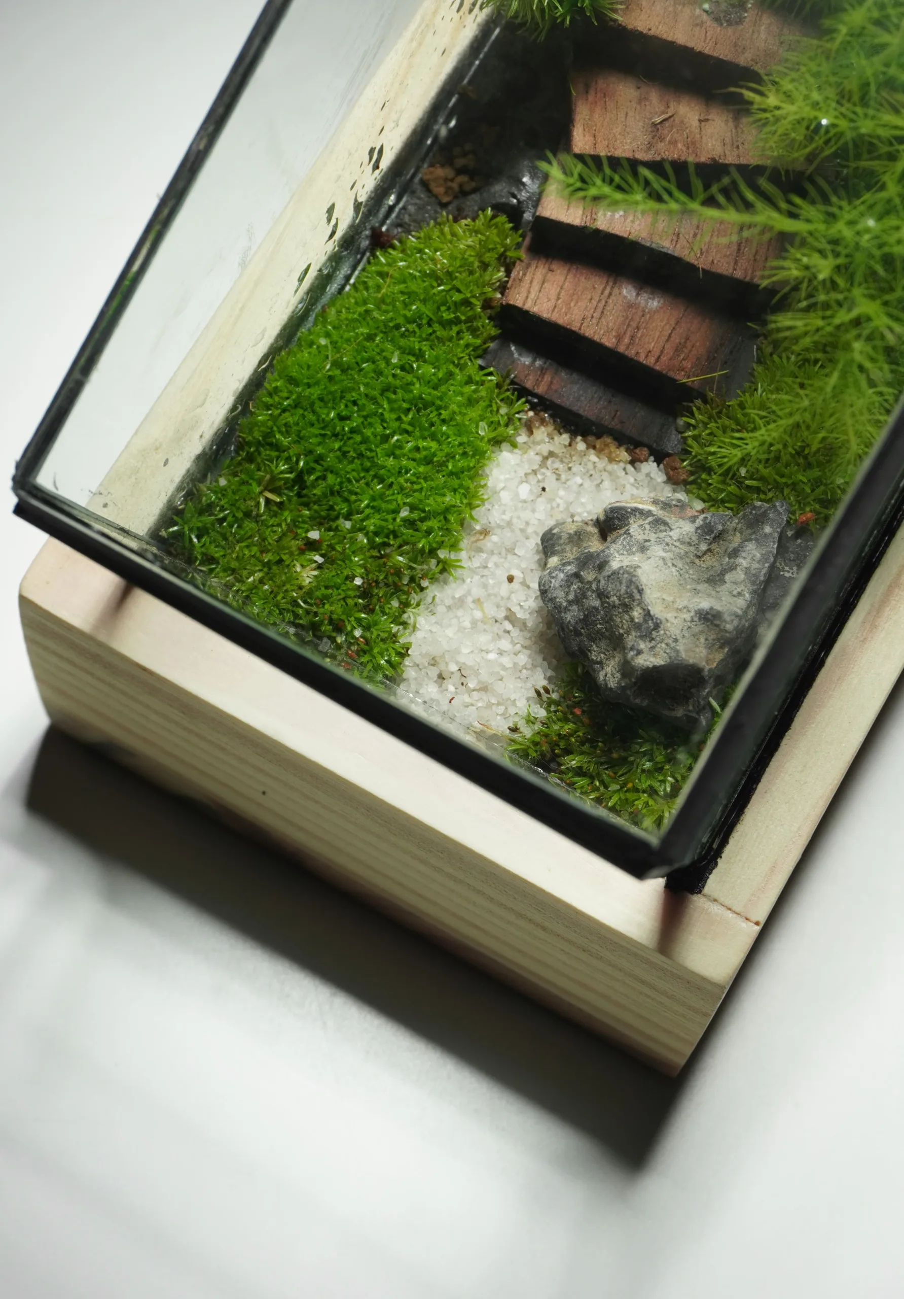 Terrarium Trúc Yên Tự – Khi tĩnh lặng trở thành nghệ thuật Terrarium Trúc Yên Tự – Khi tĩnh lặng trở thành nghệ thuật