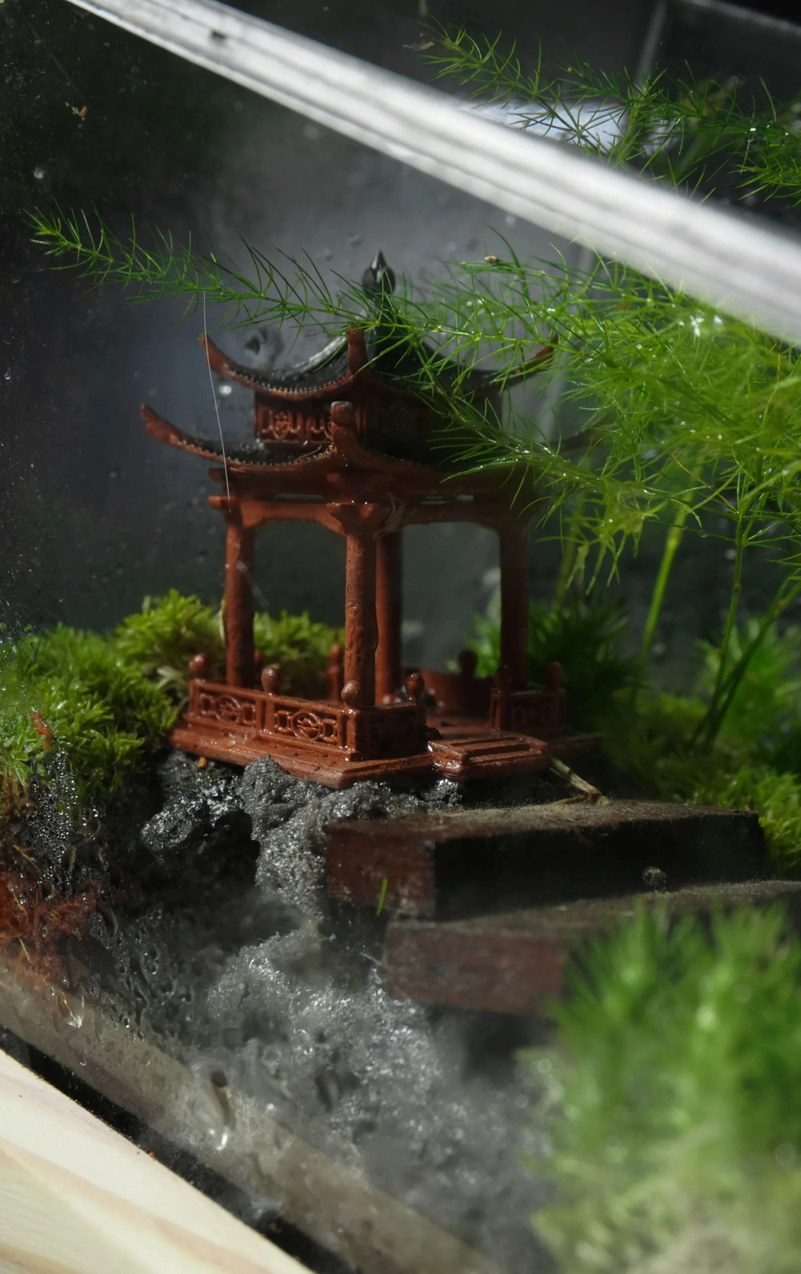 Terrarium Trúc Yên Tự – Khi tĩnh lặng trở thành nghệ thuật Terrarium Trúc Yên Tự – Khi tĩnh lặng trở thành nghệ thuật
