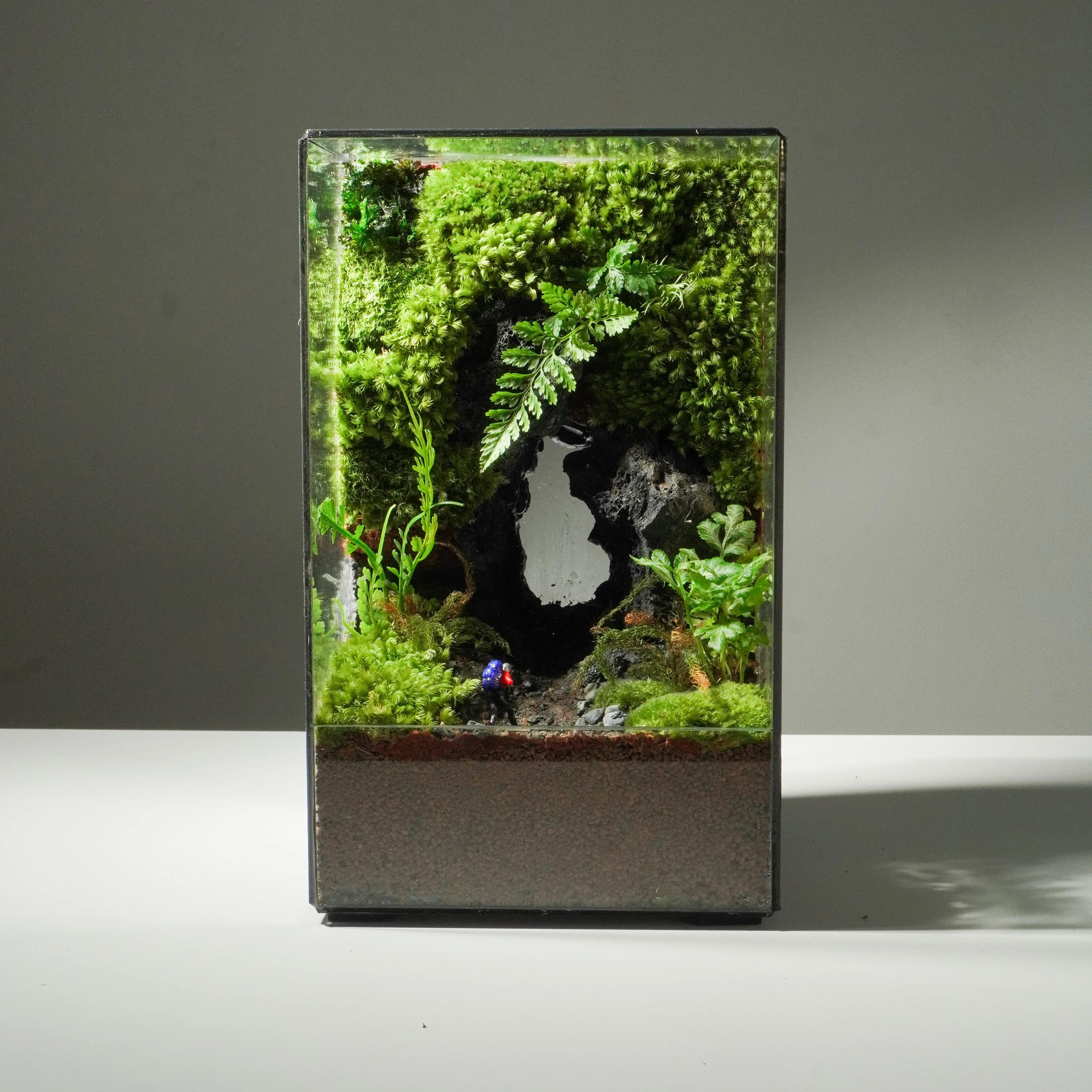 Terrarium trang trí nội thất hiện đại với cây xanh tươi mát trong bình thủy tinh.