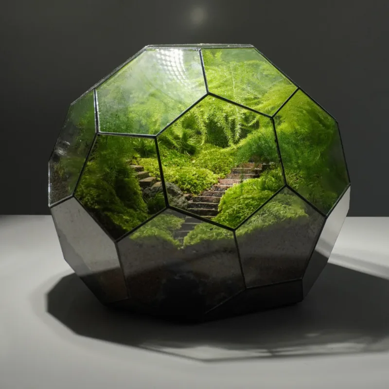 Bể terrarium Song Tự 2.0 - Thiết kế nghệ thuật và thiền định