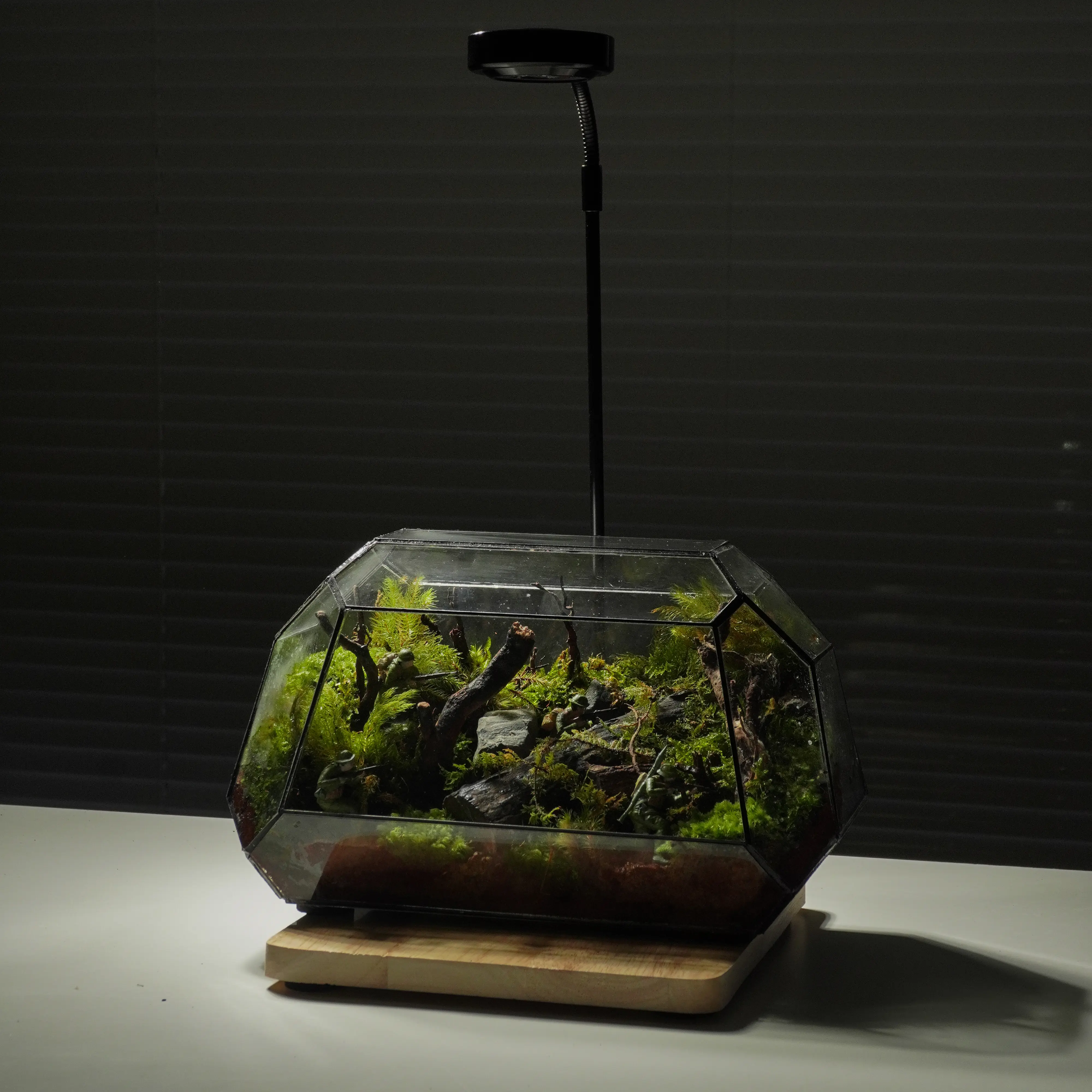 terrarium nghệ thuật tinh thần dân tộc