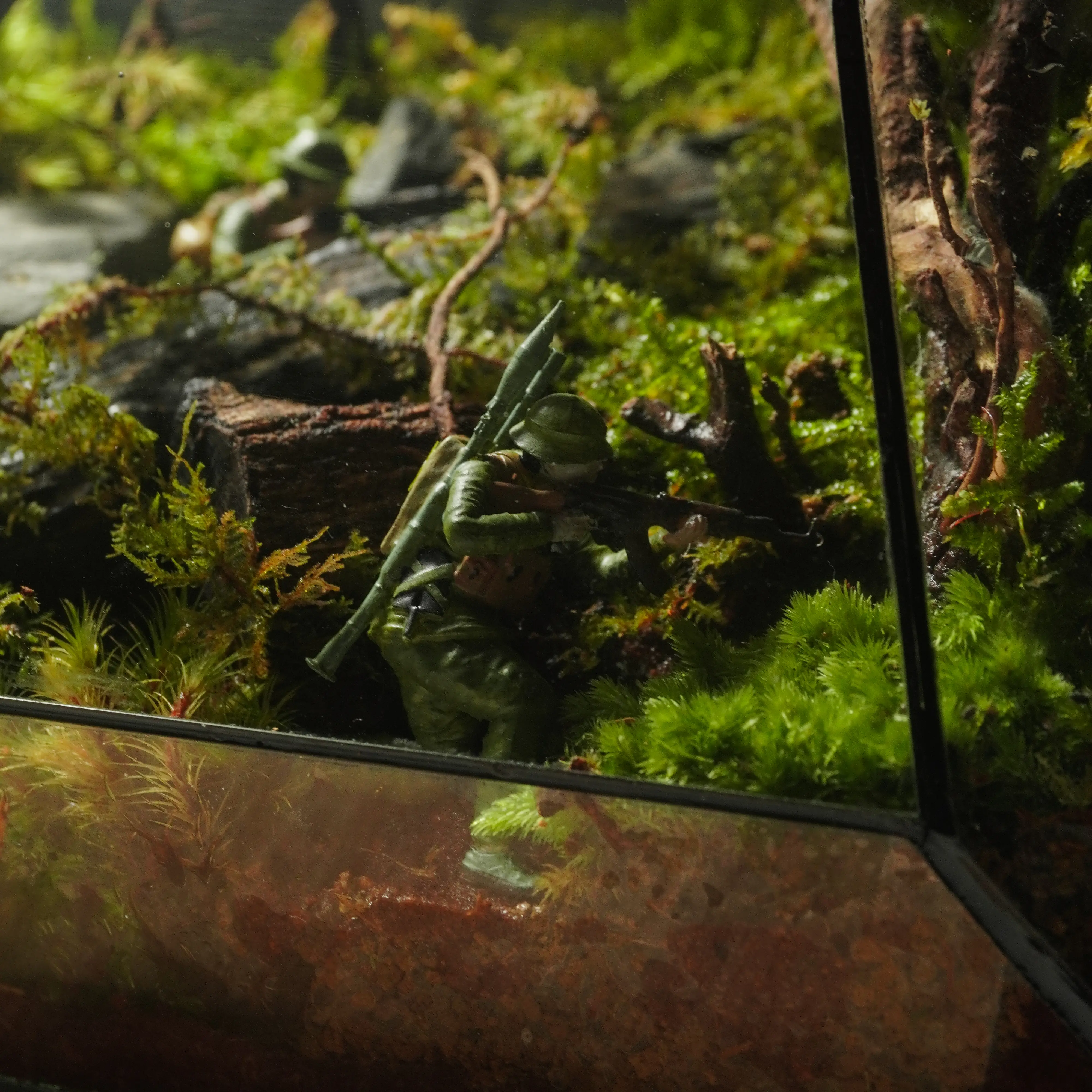 Terrarium Du Kích – Góc rừng ký ức hào hùng Terrarium Du Kích – Góc rừng ký ức hào hùng