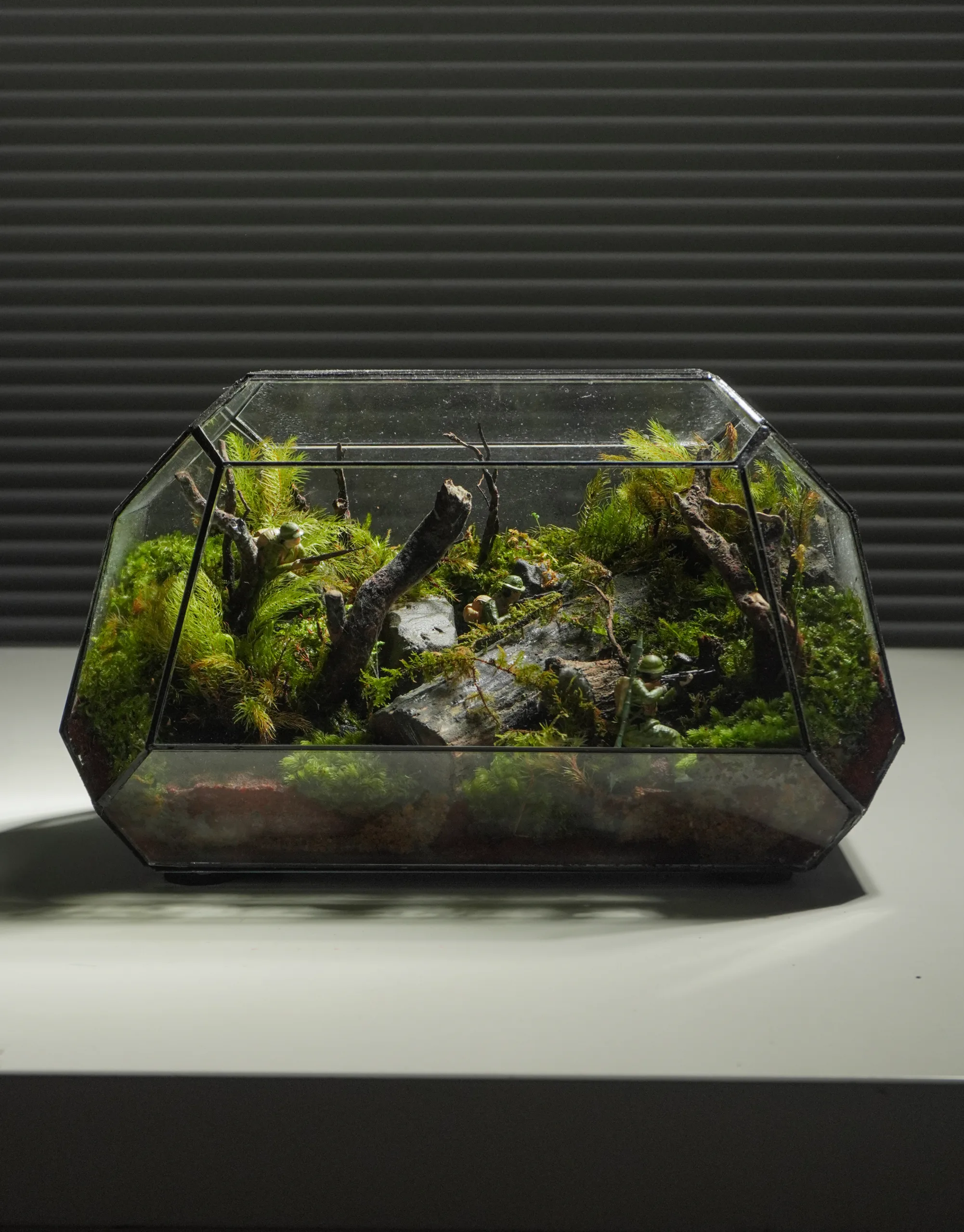 Terrarium Du Kích – Góc rừng ký ức hào hùng Terrarium Du Kích – Góc rừng ký ức hào hùng