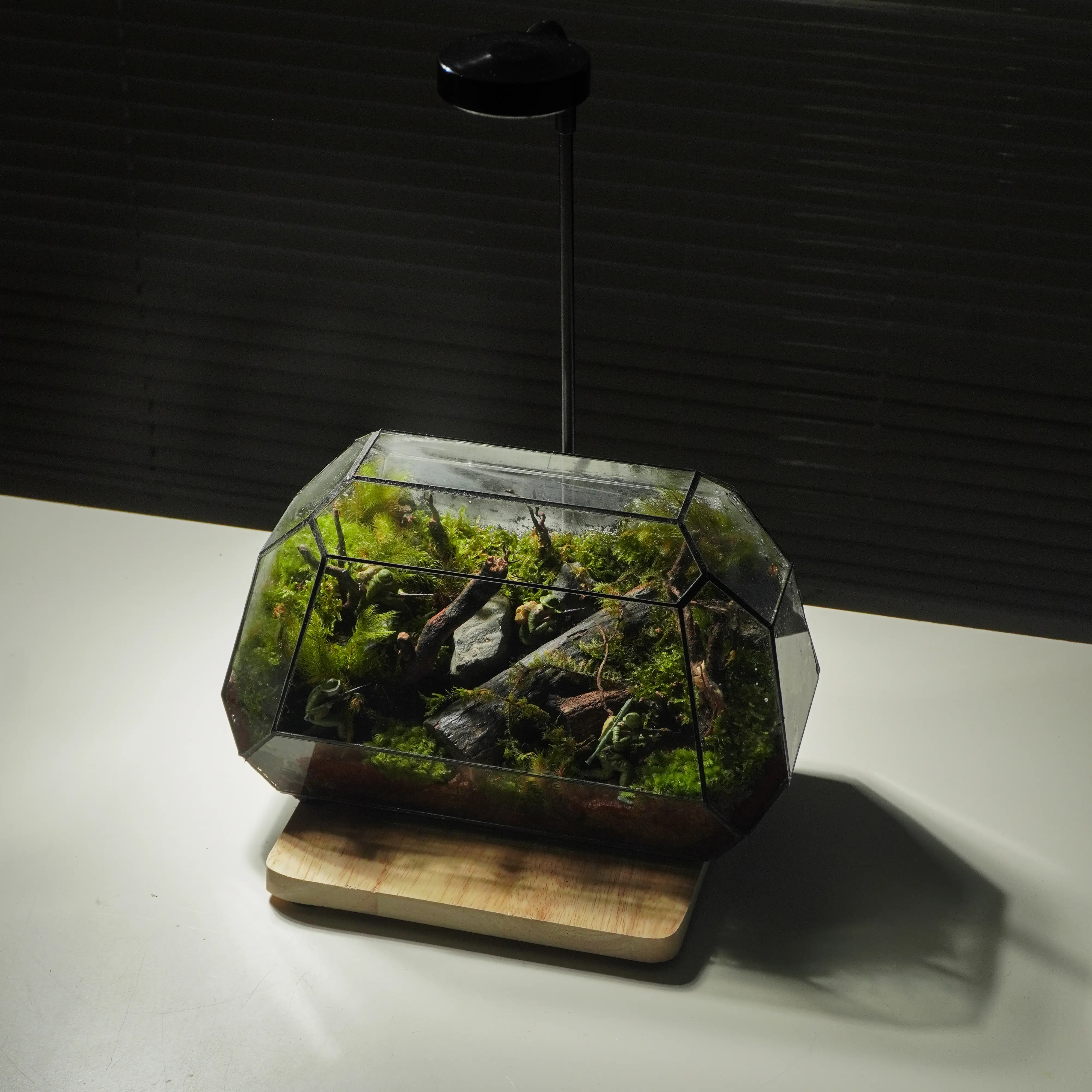 Terrarium Du Kích – Góc rừng ký ức hào hùng Terrarium Du Kích – Góc rừng ký ức hào hùng