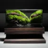 terrarium lặng nghệ thuật chữa lành