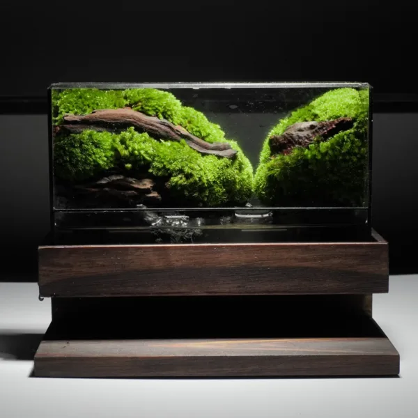 terrarium lặng nghệ thuật chữa lành