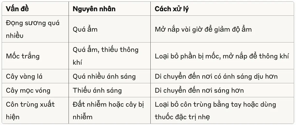 Các vấn đề thưởng gặp ở bể terrarium