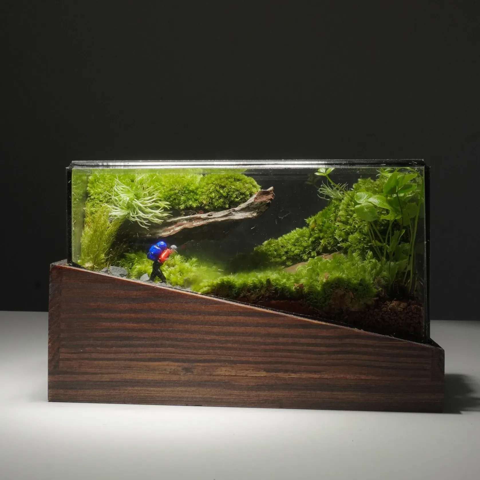 Terrarium Về Rừng – Mini – Một mảnh rừng thu nhỏ Terrarium Về Rừng – Mini – Một mảnh rừng thu nhỏ