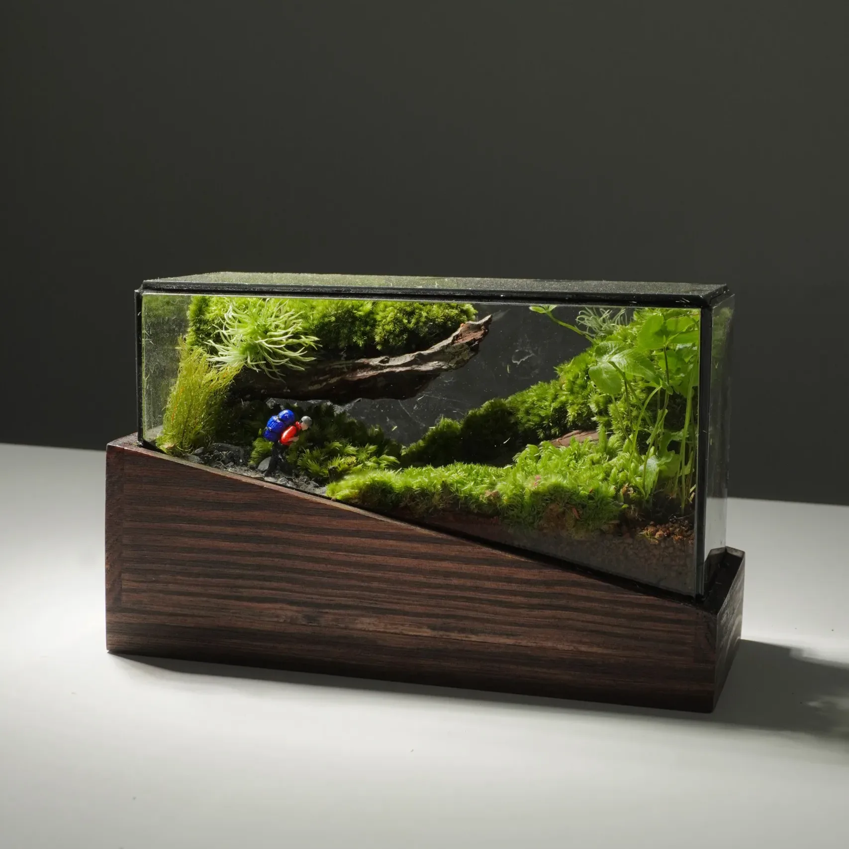 Terrarium Về Rừng – Mini – Một mảnh rừng thu nhỏ Terrarium Về Rừng – Mini – Một mảnh rừng thu nhỏ