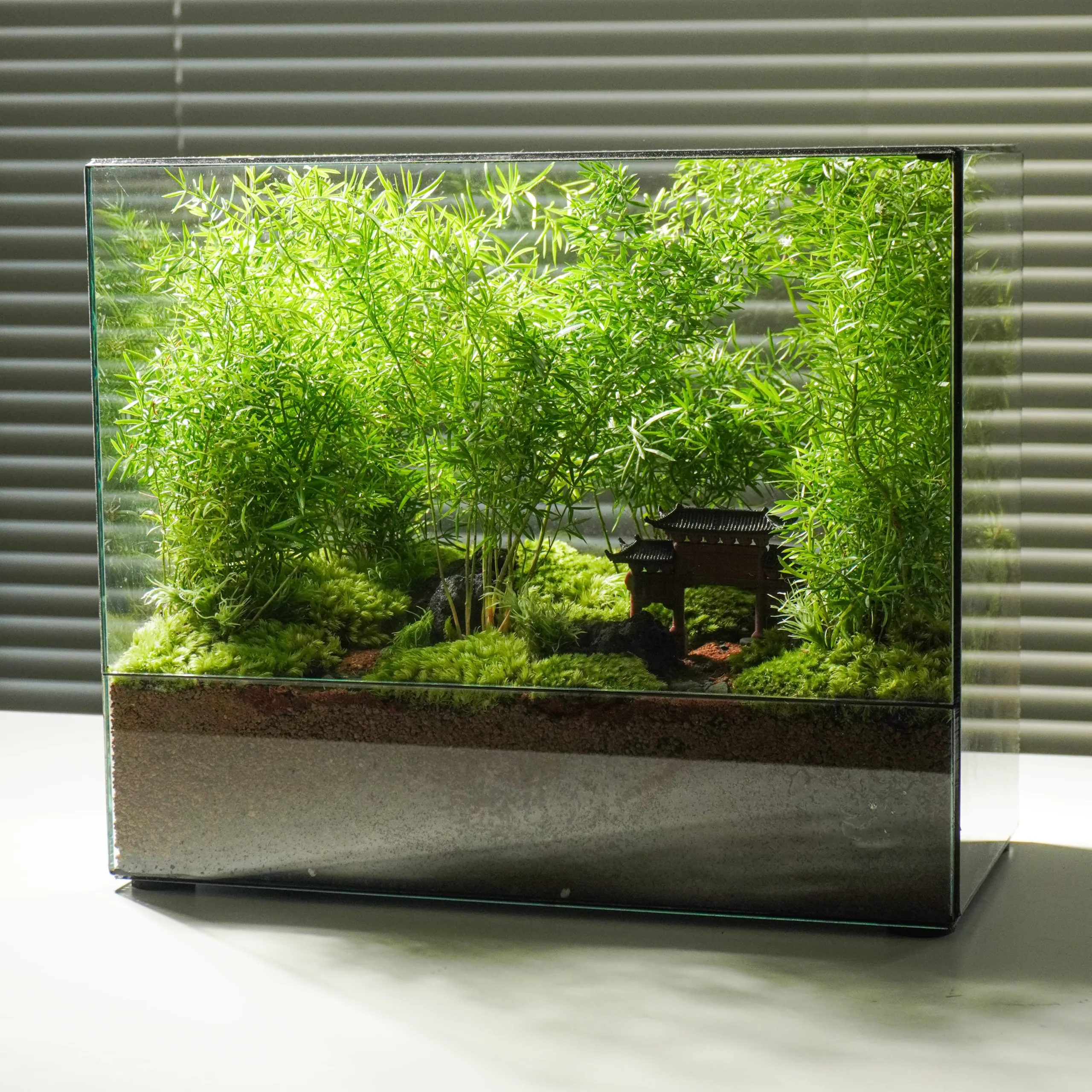 Terrarium Đường Về 2.0 – Mỗi bước chậm, là một bước trở về Terrarium Đường Về 2.0 – Mỗi bước chậm, là một bước trở về