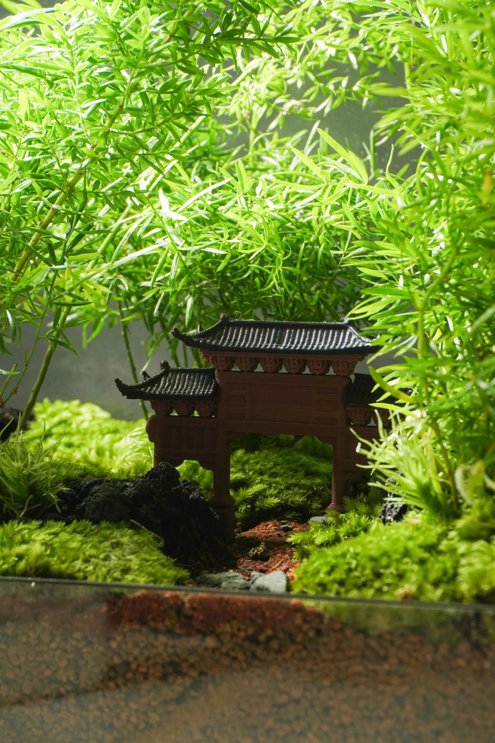 Terrarium Đường Về 2.0 – Mỗi bước chậm, là một bước trở về Terrarium Đường Về 2.0 – Mỗi bước chậm, là một bước trở về