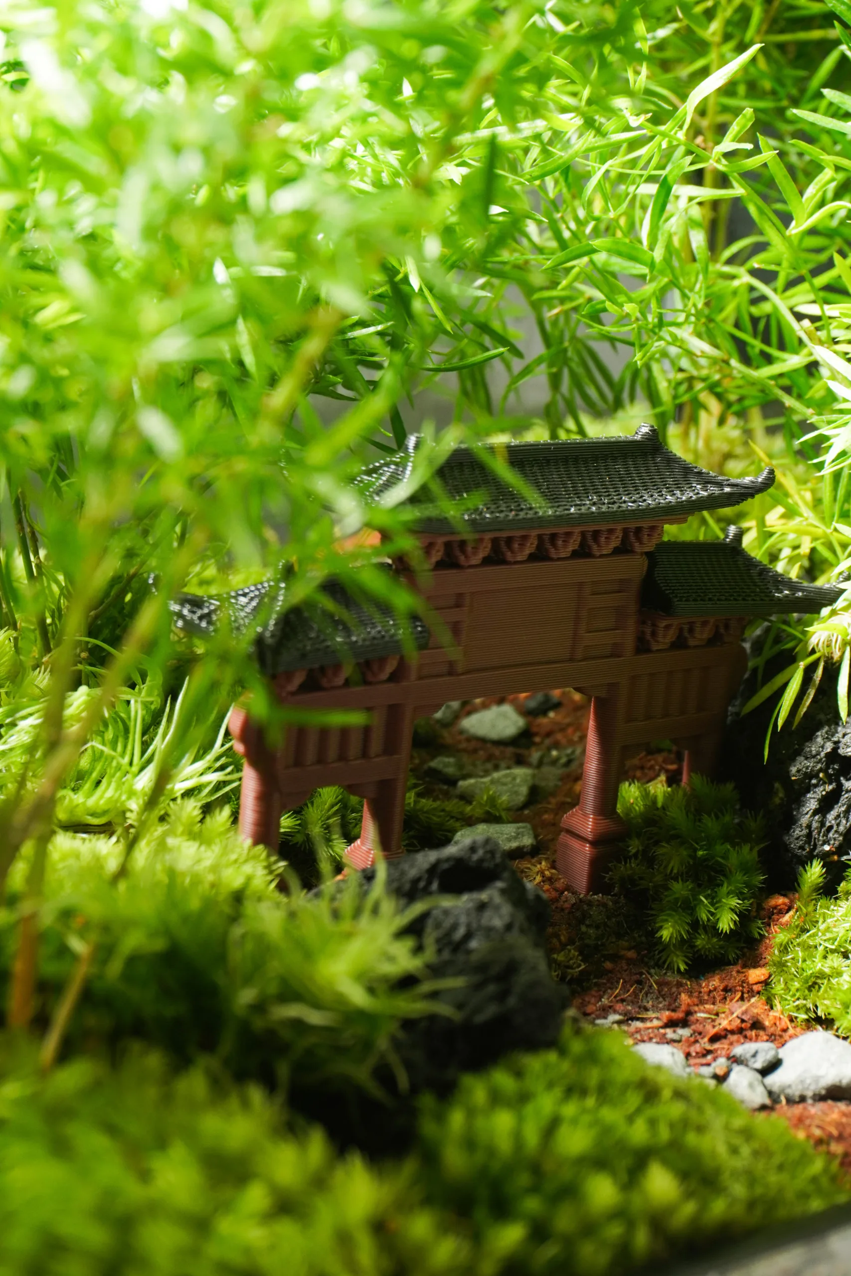 Terrarium Đường Về 2.0 – Mỗi bước chậm, là một bước trở về Terrarium Đường Về 2.0 – Mỗi bước chậm, là một bước trở về