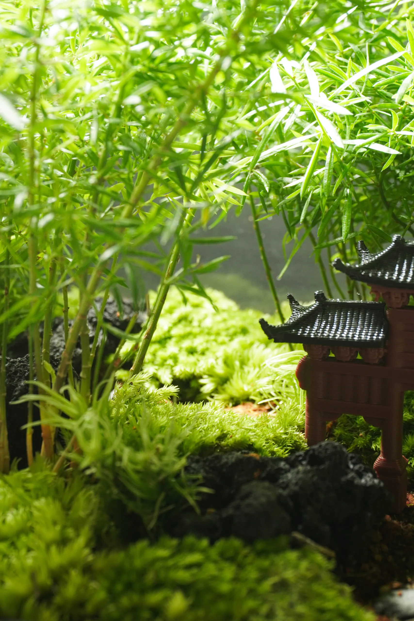 Terrarium Đường Về 2.0 – Mỗi bước chậm, là một bước trở về Terrarium Đường Về 2.0 – Mỗi bước chậm, là một bước trở về