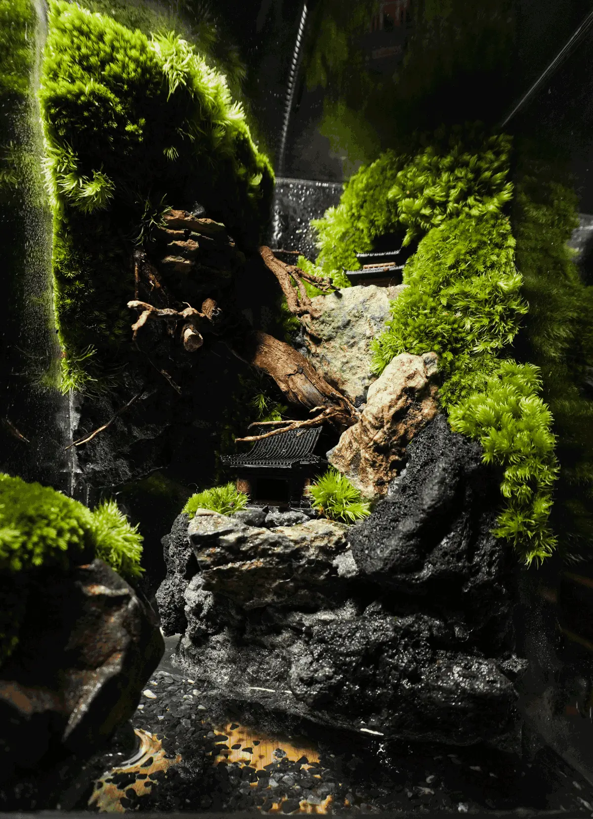 Terrarium Cheo Veo – Đứng giữa rìa thế giới, vẫn chọn sống xanh Terrarium Cheo Veo – Đứng giữa rìa thế giới, vẫn chọn sống xanh