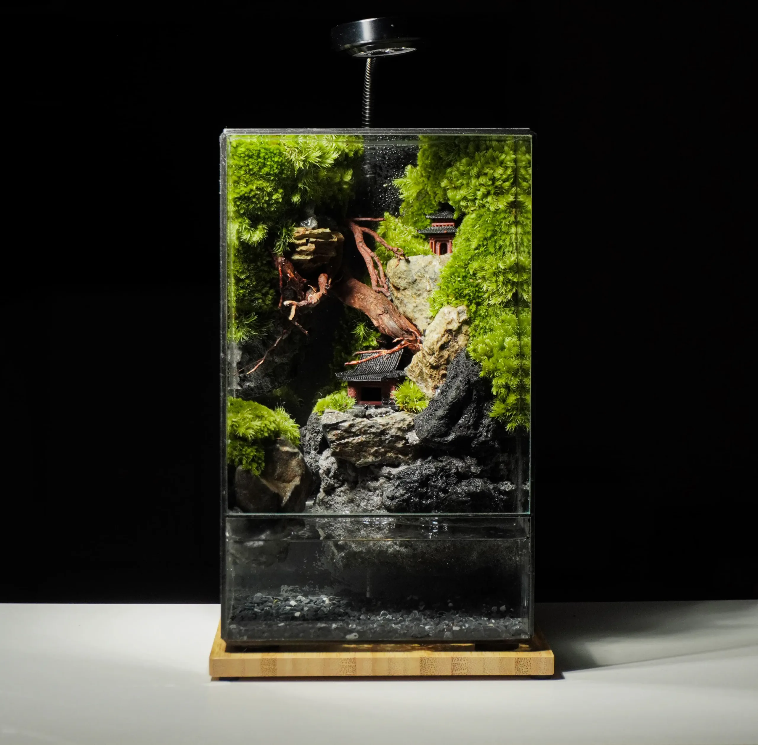 terrarium kết hợp nuôi cá mini